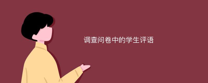 调查问卷中的学生评语