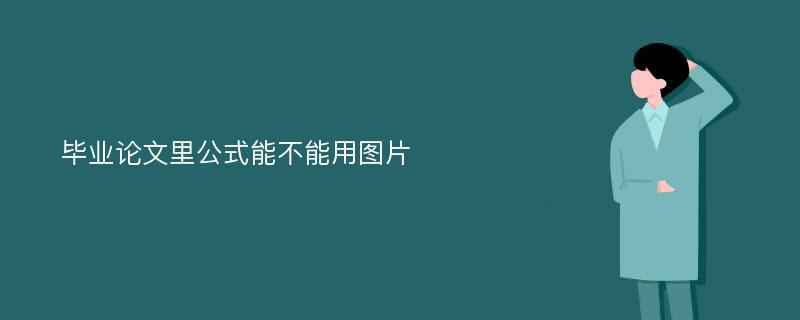 毕业论文里公式能不能用图片