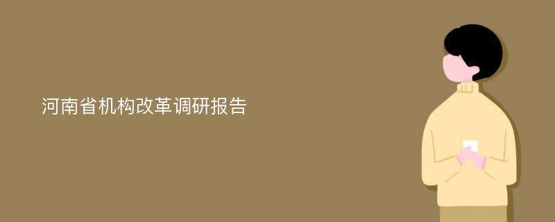 河南省机构改革调研报告